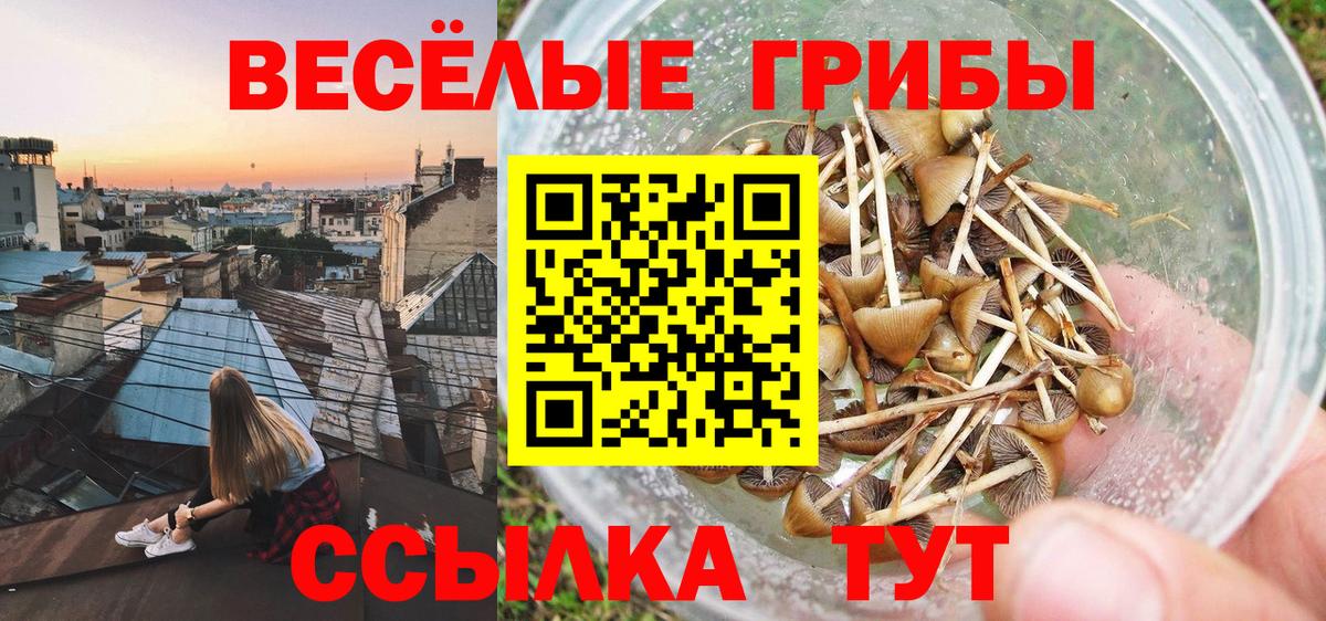 Галлюциногенные грибы мицелий Норильск